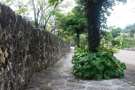 バス旅