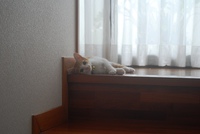 お気に入りの場所 2013/06/16 15:22:48
