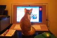 これな～に？ 2013/06/23 07:55:20