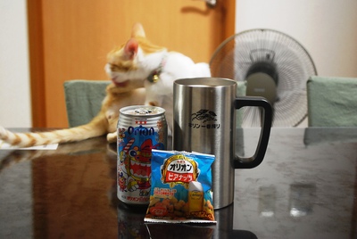 イナミの週末