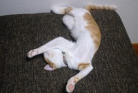 眠いの～ 2013/08/30 08:33:02