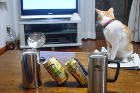 楽天おめでとう！