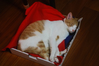 ストーブの前で・・・ 2014/01/14 23:05:04