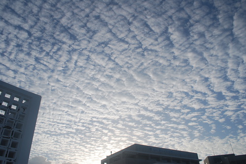 うろこ雲