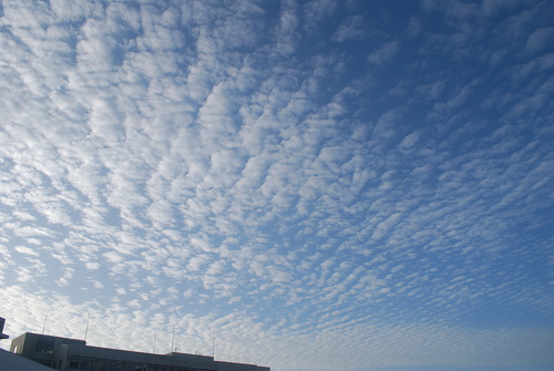 うろこ雲