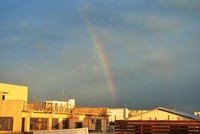 虹と首 2016/01/17 08:16:26