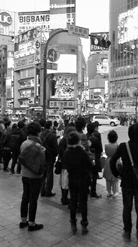 イナミ東京・横浜へⅡ 2015/03/23 11:59:53