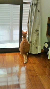 ビヨーン！ 2015/04/03 22:05:51