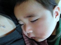 お昼寝中* 2012/03/17 10:05:24