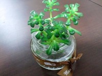 静かな夜* 2012/03/24 21:16:49