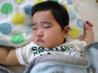 爆睡中* 2012/04/06 15:17:29