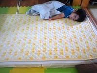 どうしてそんなトコに!?* 2012/05/27 15:16:16