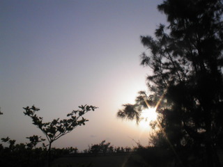 Shining　Sunset