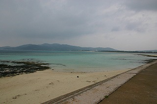 今日は雨です・・・