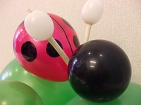 てんとう虫＆ハチ
