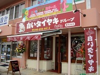 2009年03月29日