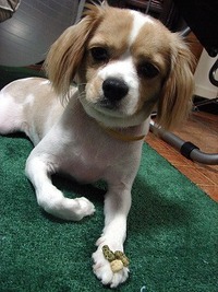 久しぶりの登場