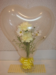 Balloon Flower