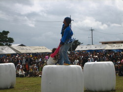 黒島牛祭り２００７