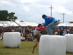 黒島牛祭り２００７