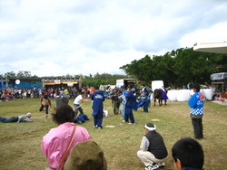 黒島牛祭り２００７