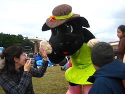 黒島牛祭り２００７