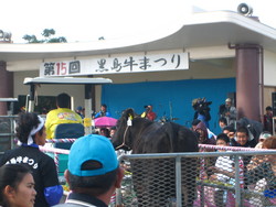黒島牛祭り２００７