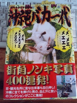 沖縄バカ一代