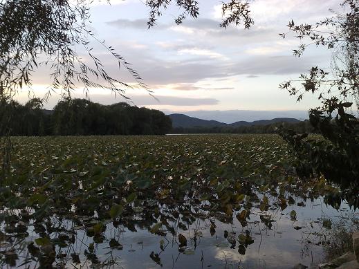 秋の頤和園