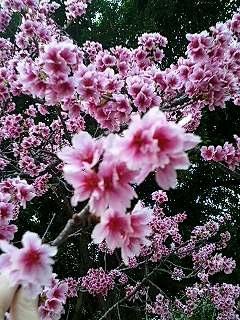 解禁まで…
