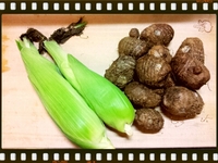 静岡とヨロンのお野菜ご飯。 2012/05/24 08:21:25