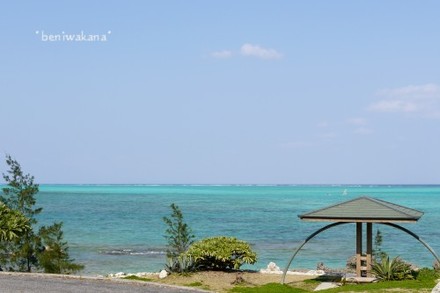 海のお散歩帰り道