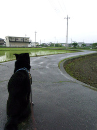 僕の羽が朽ちるまで　七つの海を越えて 2011/06/10 02:39:46