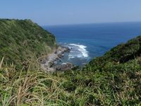 美作ペンギン探し♪ 2009/10/20 10:08:36