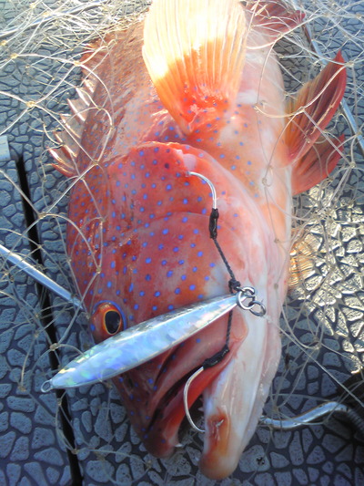mori-Fishing