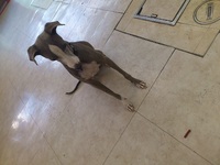 トレーニング 2012/07/05 14:06:13