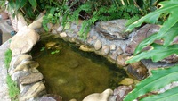 BIOSの池 2012/11/09 17:05:28