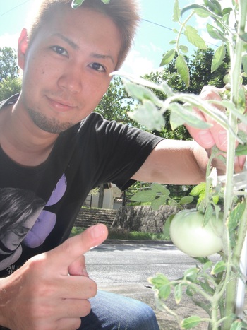 ト　マ　ト　の　実　(*^_^*)