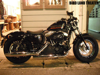FORTY EIGHT/SPORTSTER