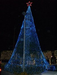 クリスマスツリー(・e・) 2005/11/26 21:22:00