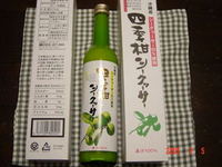 シークヮーサー(・e・)