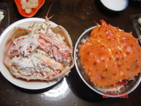 昨日食べたカニ(・e・)