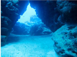 南岸で２DIVE。