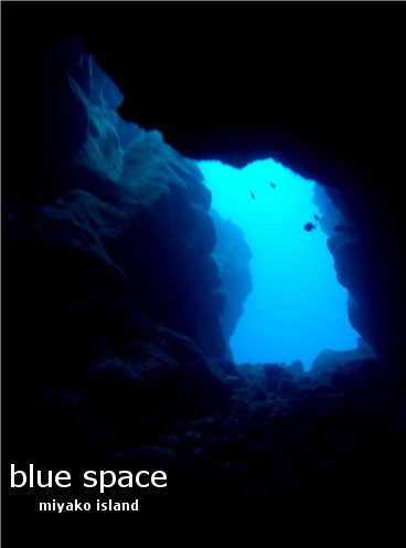 ４ＤＩＶＥ