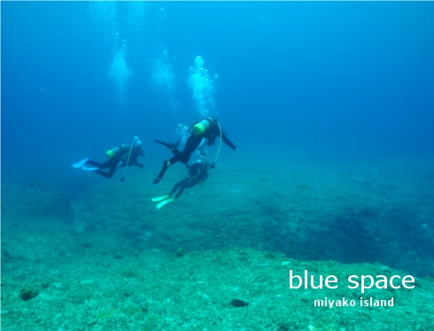 のんびり午後から２ＤＩＶＥ