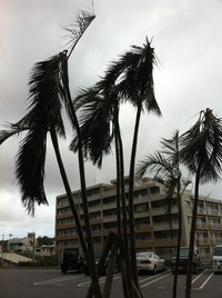 台風2号襲来！！ 2011/05/29 23:16:33
