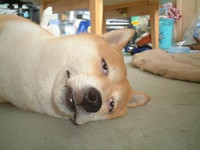 あ…雨(・.・;) 2011/11/19 13:07:09