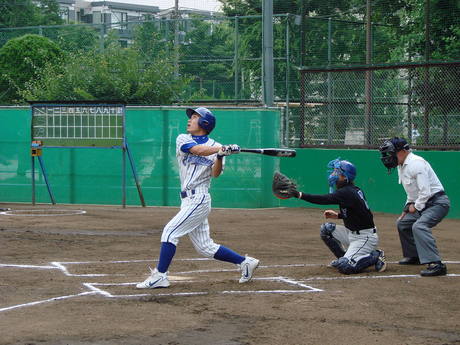 no.6