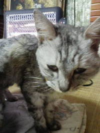 ありがとね(*´д｀*) 2008/03/18 22:35:33