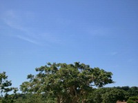 今日は 2012/06/25 12:56:34